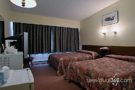 Dalewood Inn Port Mcneill Ngoại thất bức ảnh